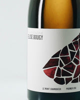 ELISE BOUGY  LE MONT CHAINQUEUX '21