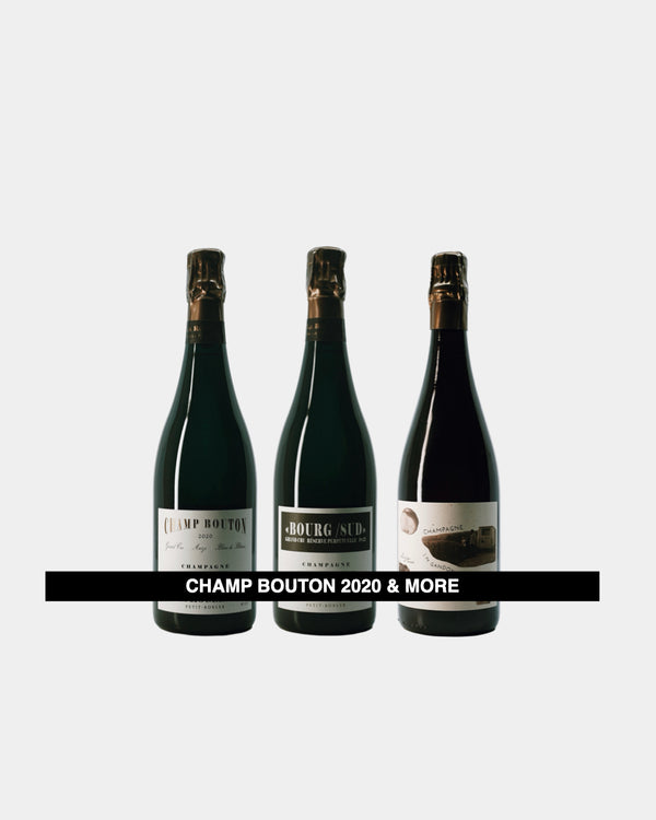 CHAMP BOUTON & MORE