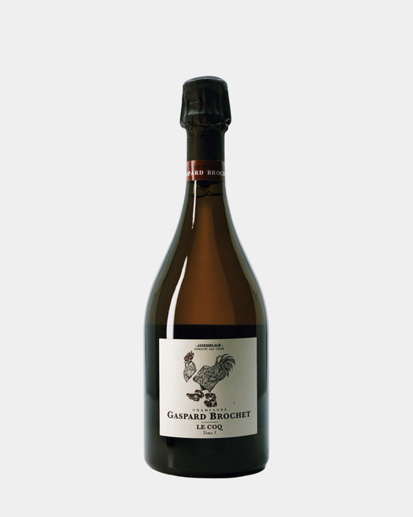GASPARD BROCHET  LE COQ