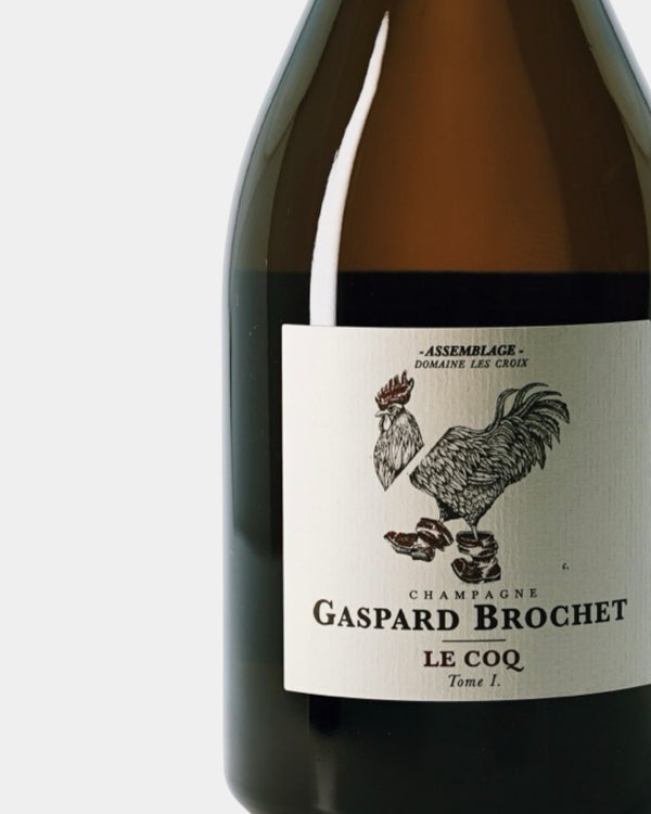 GASPARD BROCHET  LE COQ