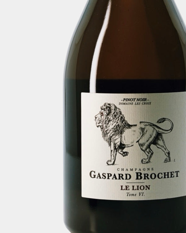 GASPARD BROCHET  LE LION