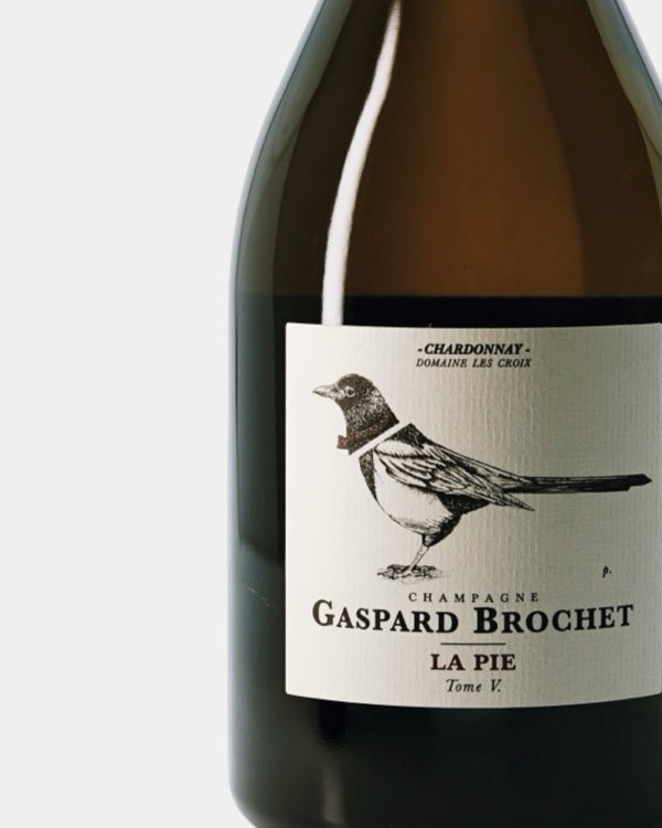 GASPARD BROCHET  LA PIE