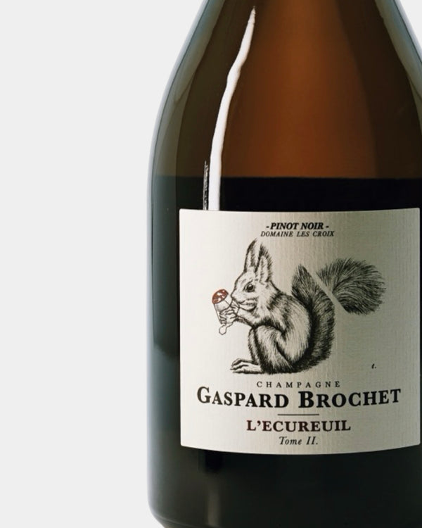 GASPARD BROCHET  L'ECURUEIL