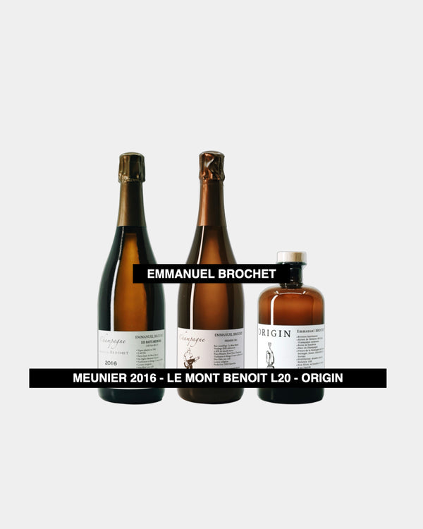 EMMANUEL BROCHET  SET OF MEUNIER 2016 - LMB L20 - ORIGIN