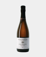 PIERRE PAILLARD  LES PARCELLES XXI