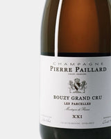 PIERRE PAILLARD  LES PARCELLES XXI