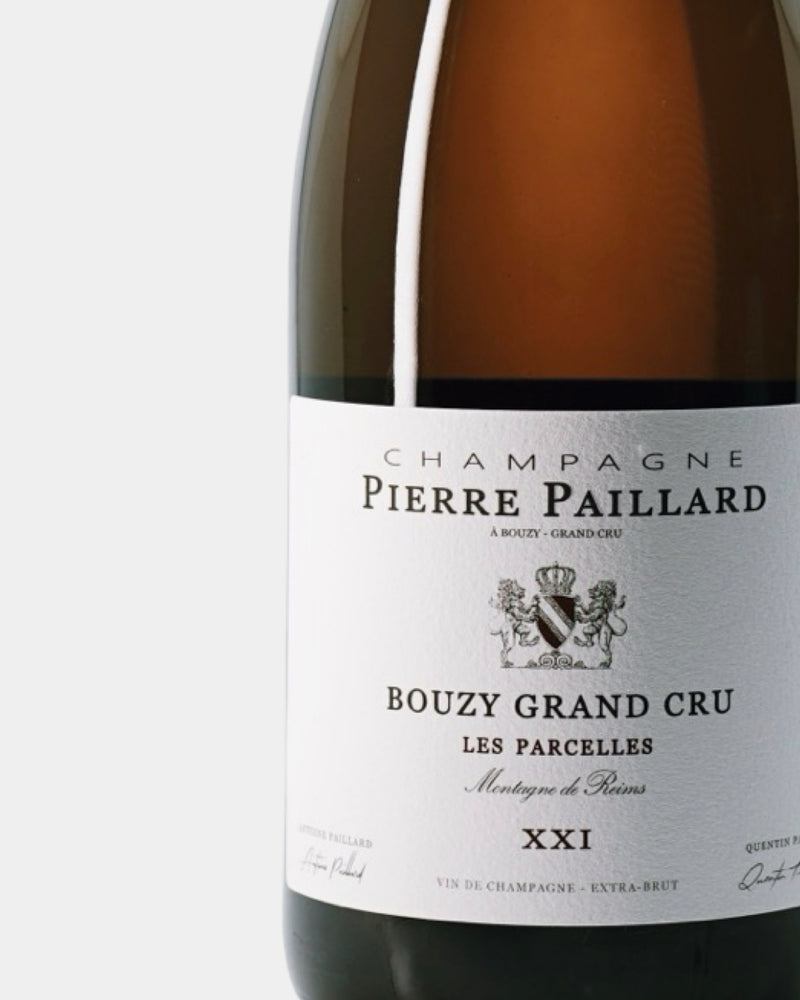 PIERRE PAILLARD  LES PARCELLES XXI